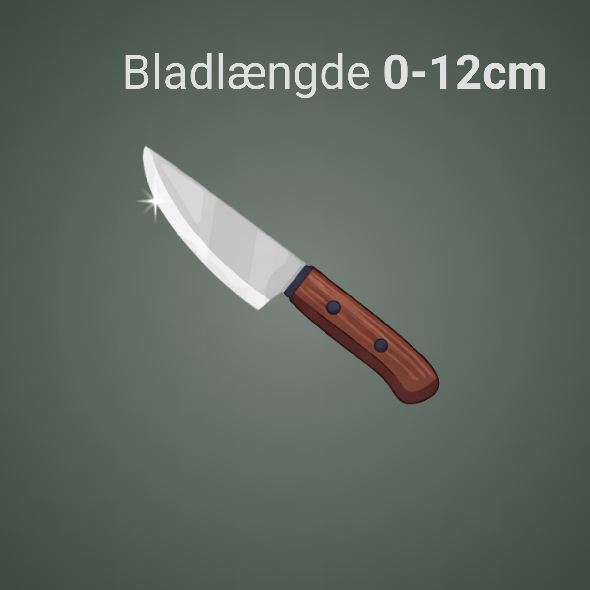 Lille kniv <br> Slibning