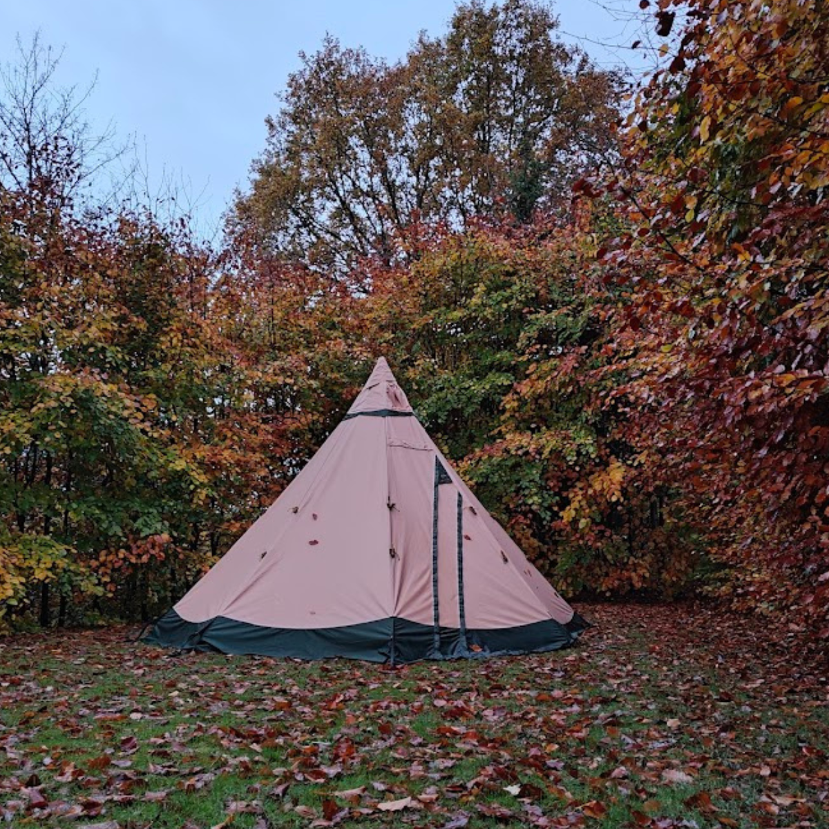 UD & ÆD - Nak og æd oplevelser