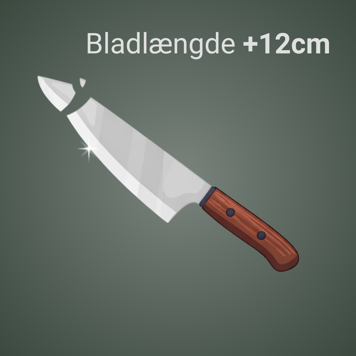 Stor kniv slibning <br> og reparation af spids