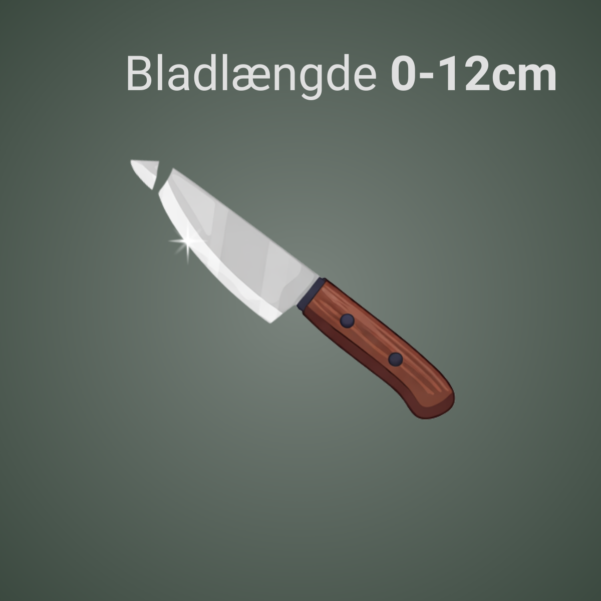 Lille kniv slibning <br> og reparation af spids